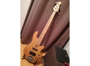 lakland-skyline-5502-2523334