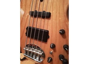 lakland-skyline-5502-2523327