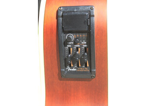 Fender Artist Design Tim Armstrong Hellcat Acoustic (31123)