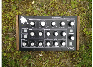 Moog Music Minitaur (48523)