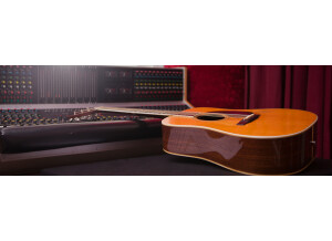 Native Instruments Strummed Acoustic (56453)