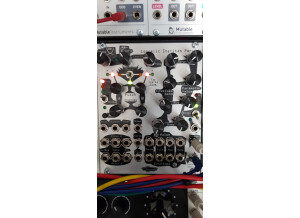 Noise Engineering Loquelic Iteritas Percido (26973)