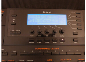 Roland G-800 (38141)