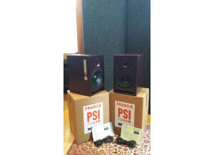 PSI Audio A21-M (4122)