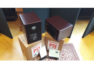 PSI Audio A21-M (46684)