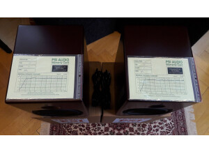 PSI Audio A21-M (21260)