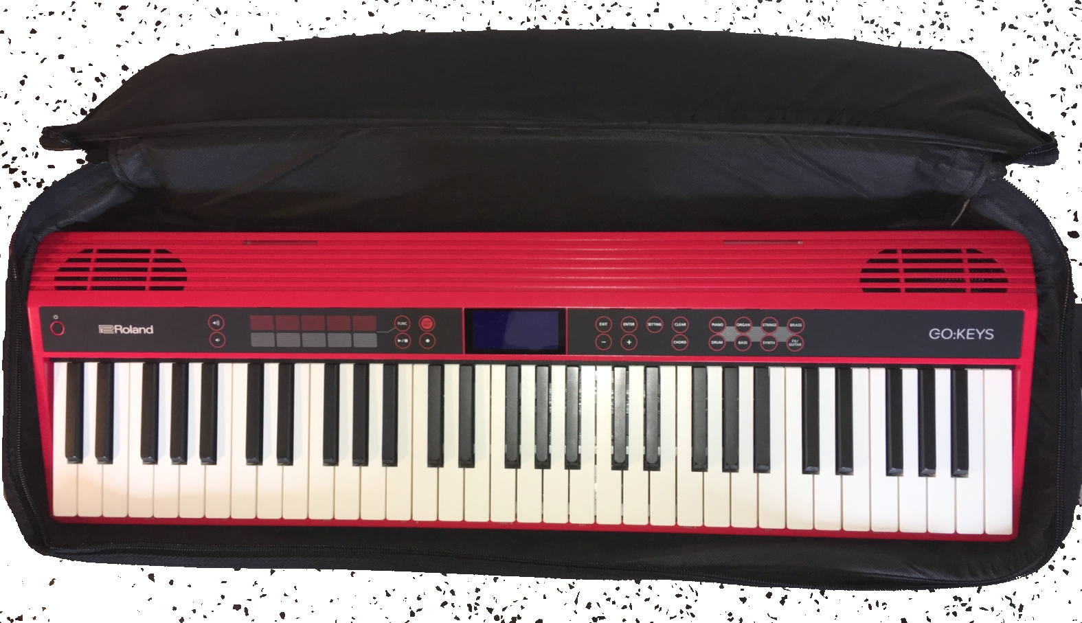 Roland Go:Piano 61 : Roland Go:Keys (88856)