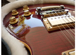 Gibson Les Paul Series - Les Paul Standard 60 (86570)