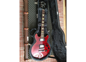Gibson Les Paul Double Cut DC Pro (96638)