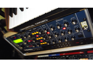 Studio Electronics SE-1X (95255)