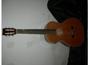 Tanglewood TW73 B (40412)