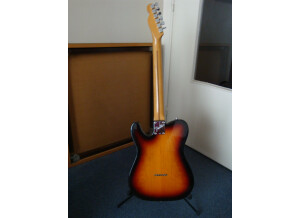 Fender American Standard Telecaster [1988-2000] (2194)