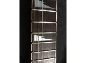 Ibanez PGM100 (95298)