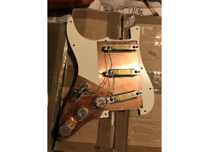 Fender Strat Plus [1987-1999] (93801)