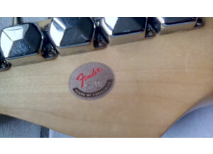 Squier 50th Anniversary Stratocaster (21654)