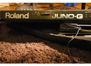 Roland JUNO-G (62828)