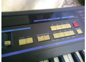 Korg Dw-6000 (25885)