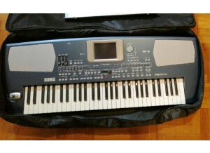 Korg Pa500 (32672)