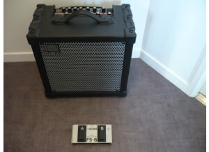 Roland Cube-80XL (9958)