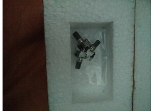 15552570024885001846098952397687