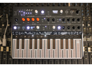 MicroFreak_2tof 04.JPG
