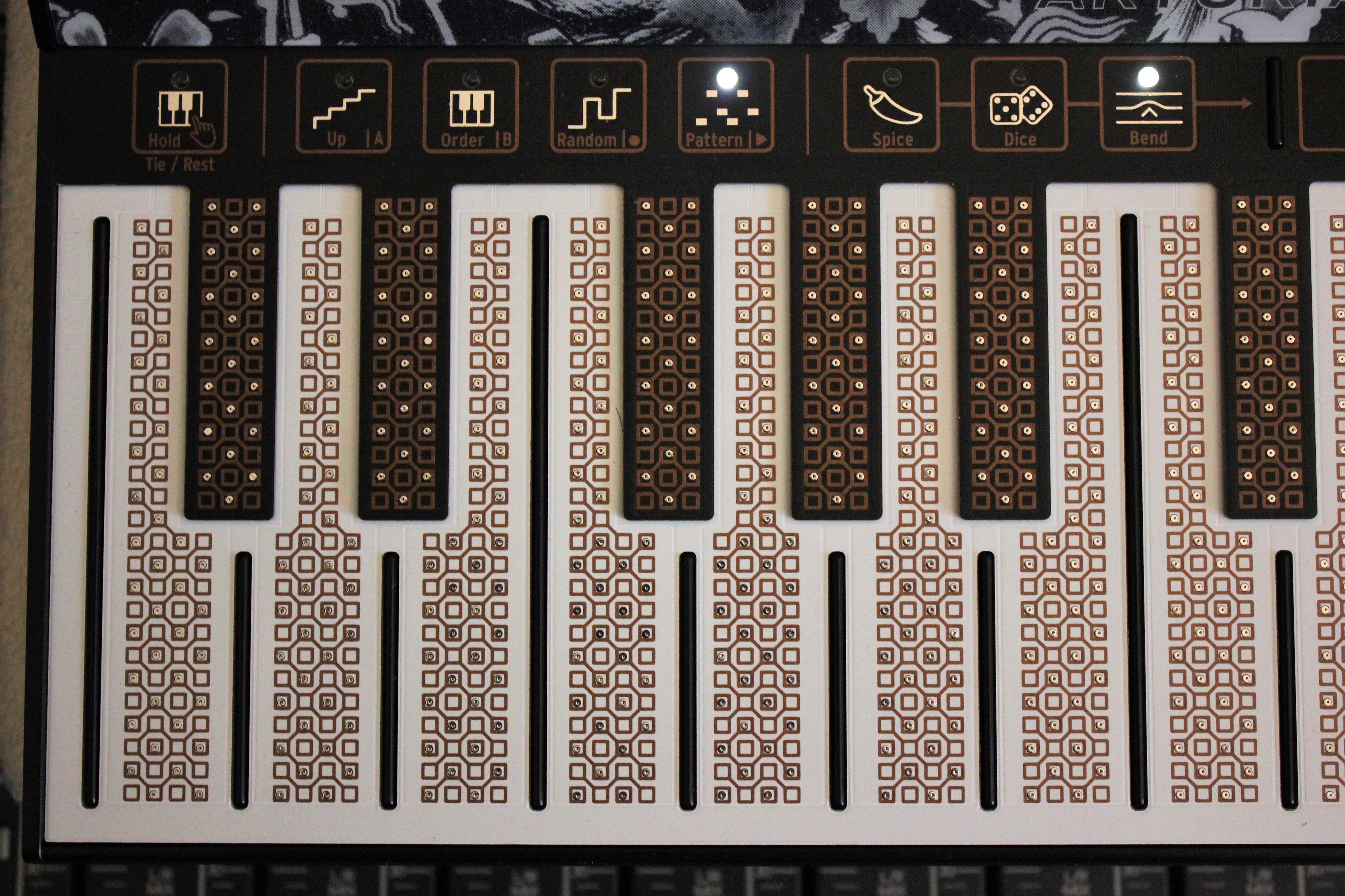 MicroFreak_2tof 10.JPG