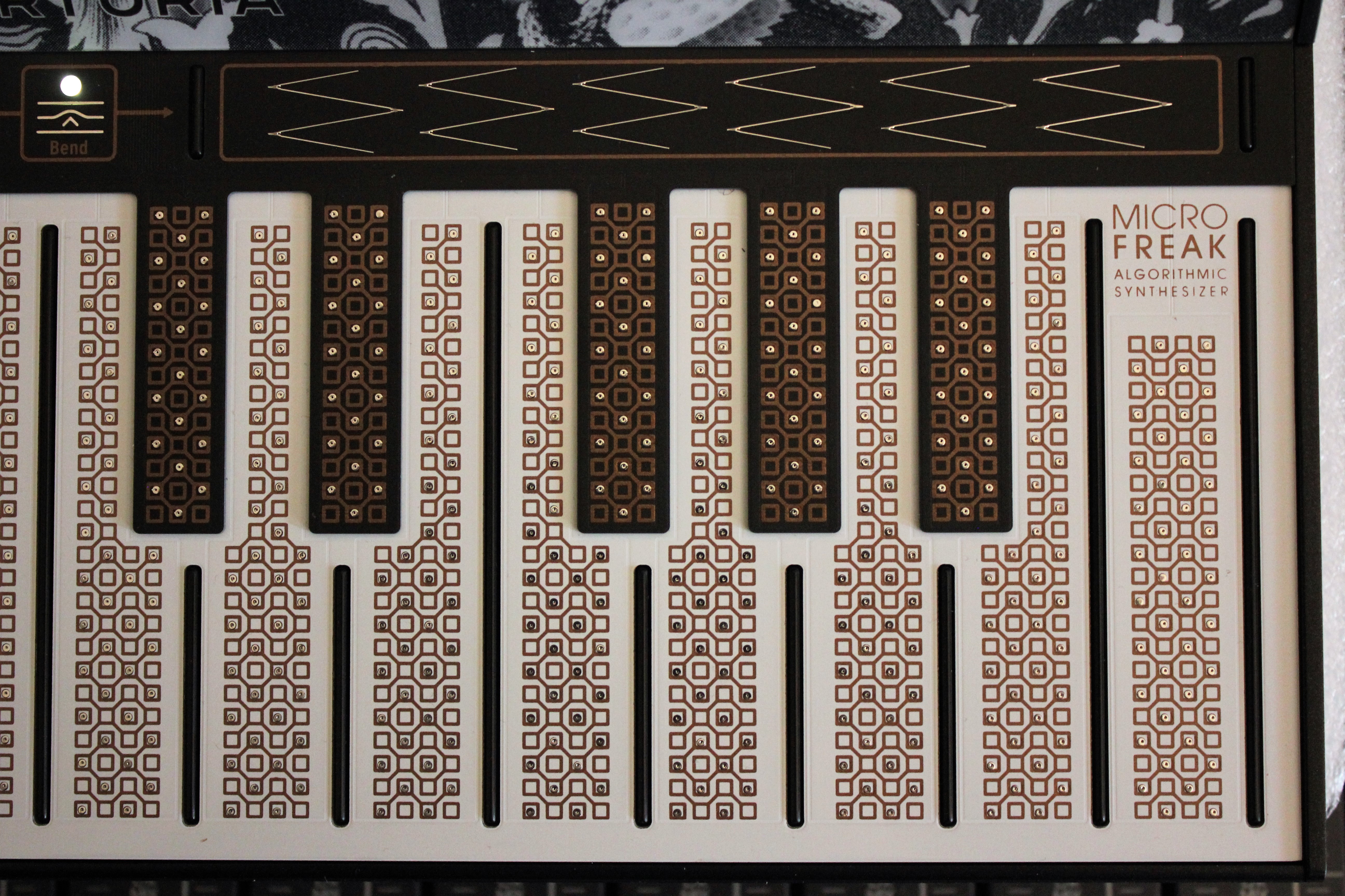 MicroFreak_2tof 11.JPG