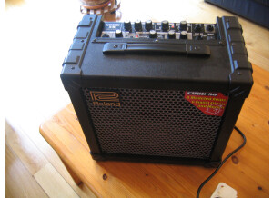 Roland Cube-30 (9774)