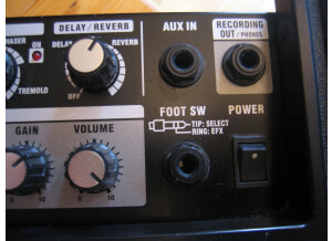 Roland Cube-30 (68483)