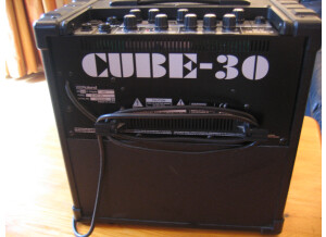 Roland Cube-30 (82120)