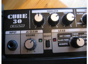 Roland Cube-30 (29798)
