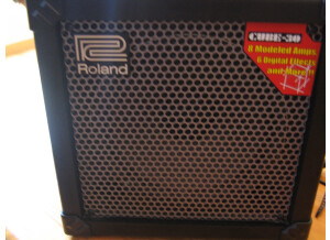 Roland Cube-30 (30300)