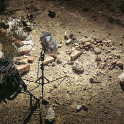 IMG_9808_2_790x IMG_9808_2_790x