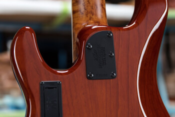 Ernie-Ball-Music-Man-BFR-Stingray-5-HH-Bass-Neck-Plate-1000x667 Ernie-Ball-Music-Man-BFR-Stingray-5-HH-Bass-Neck-Plate-1000x667