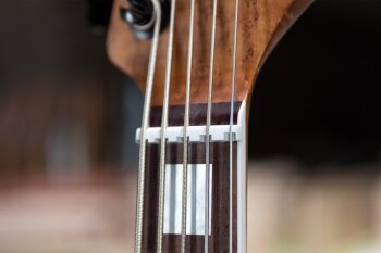 Ernie-Ball-Music-Man-BFR-Stingray-5-HH-Bass-Nut-1000x667 Ernie-Ball-Music-Man-BFR-Stingray-5-HH-Bass-Nut-1000x667