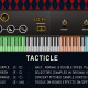 Argyle - Pulses Limited Edition Argyle - Pulses Limited Edition