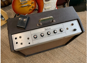 Gibson Falcon GA-19 RVT  (85956)