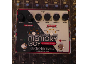 Electro-Harmonix Deluxe Memory Boy (10219)