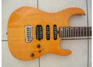 Washburn MG 70