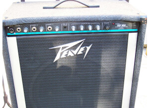 Peavey KB100 (14051)