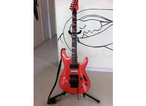 Ibanez [Signature Series - Frank Gamble] FGM100 DY