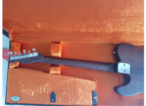 Fender George Harrison Rosewood Telecaster (59046)