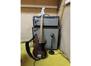Fender Bassman Pro Bassman 100T (482)