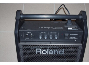 Roland PM-100 (3575)