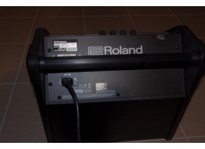 Roland PM-100 (96360)