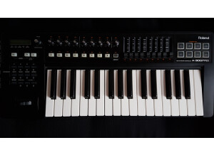 Roland A-300PRO-R (76863)