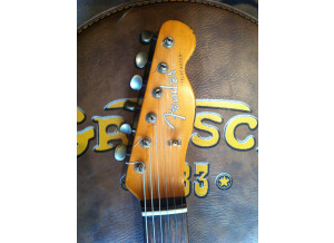Fender Joe Strummer Telecaster (89094)