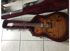 Godin Flat Five X (13298)