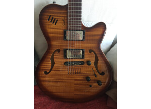 Godin Flat Five X (59784)
