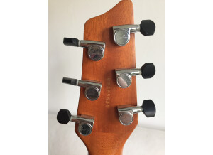 Godin Flat Five X (56532)